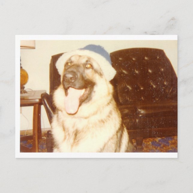 Doggie_Cap Postcard (Front)