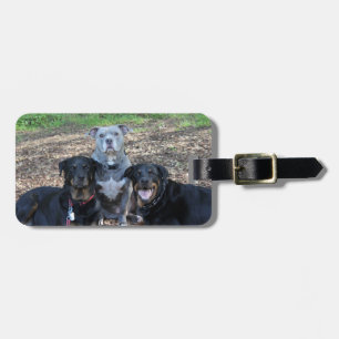 Doggie Family Picture Luggage Tag