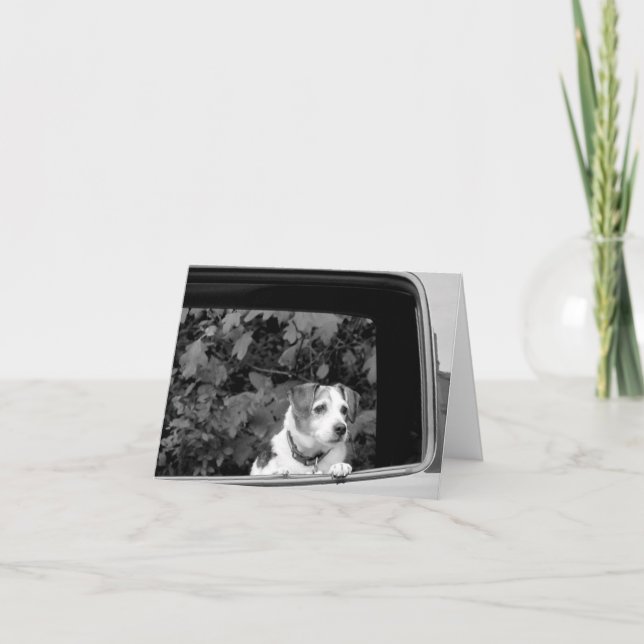 Doggie in the Window Note Card (Front)