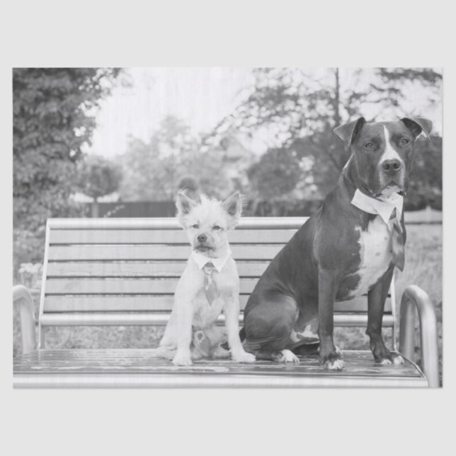 Doggie wedding tissue paper (Front)