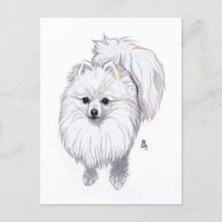 Doggust 2019 Pomeranian Postcard