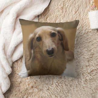 Doggy Cushion