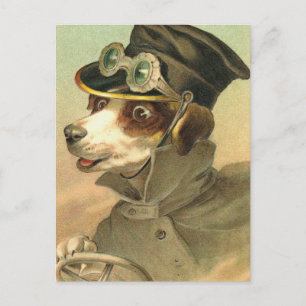 Doggy Driver Postcard