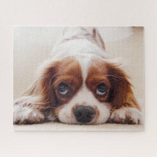 Doggy Jigsaw Puzzle