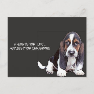 doggy postcard