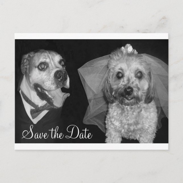 Doggy Save the Date Announcement Postcard (Front)