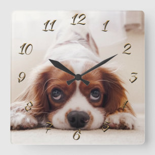 Doggy Square Wall Clock