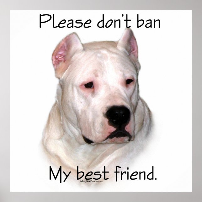 Dogo Argentino Anti-BSL Poster (Front)