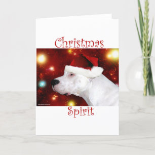 Dogo Argentino Christmas Spirit Holiday Card