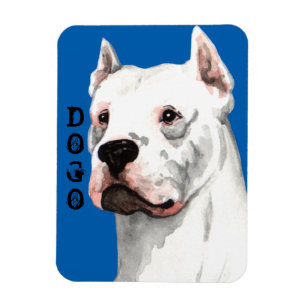 Dogo Argentino Colour Block Magnet