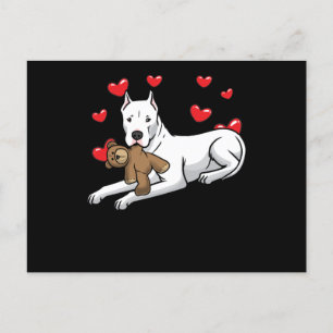Dogo Argentino Dog With Stuffed Animal And Hearts Postcard