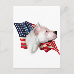 Dogo Argentino Flag Postcard