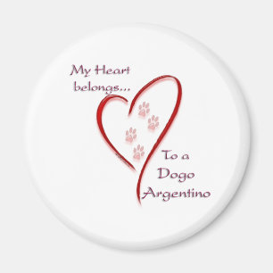 Dogo Argentino Heart Belongs Magnet