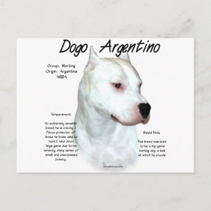 Dogo Argentino History Design Postcard