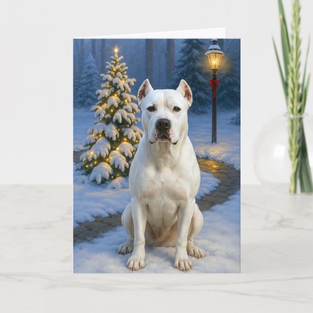 Dogo Argentino Holiday Card (Front)