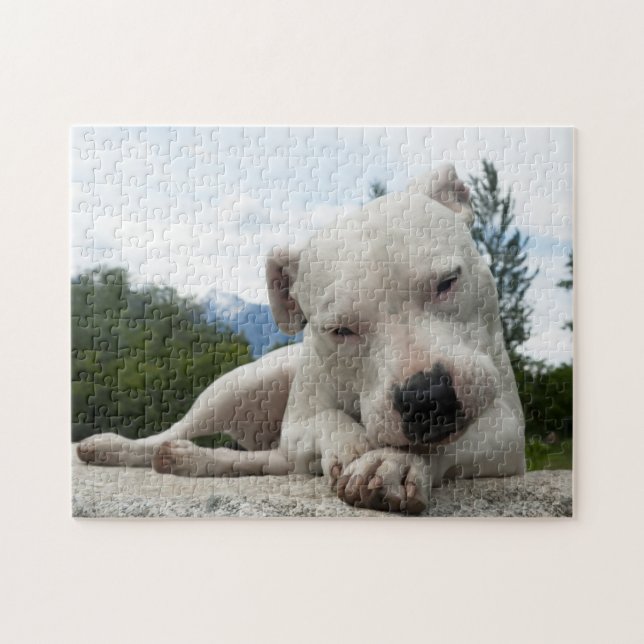 Dogo Argentino  Jigsaw Puzzle (Horizontal)