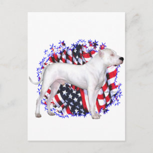 Dogo Argentino Patriot Postcard