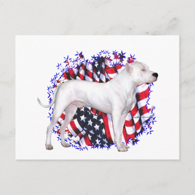 Dogo Argentino Patriot Postcard (Front)