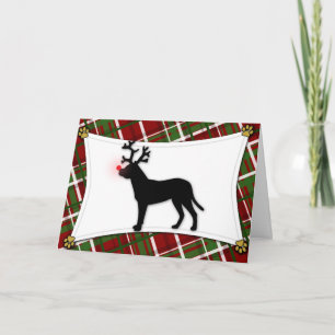Dogo Argentino Reindeer Christmas Card