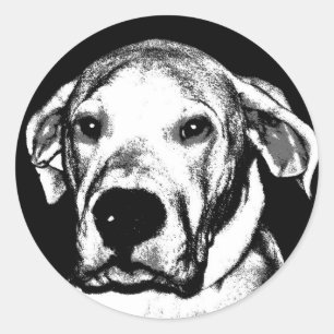 Dogo argentino sticker