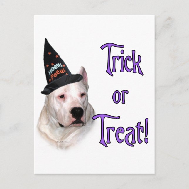 Dogo Argentino Trick Postcard (Front)