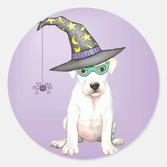 Dogo Argentino Witch Classic Round Sticker (Front)