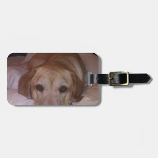 Dogonit... Luggage Tag
