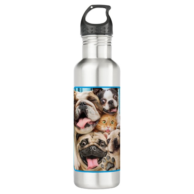 Dogs and a Cat Group Photo 710 Ml Water Bottle (Front)