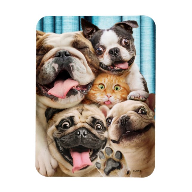 Dogs and a Cat Group Photo Magnet (Vertical)