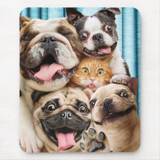 Dogs and a Cat Group Photo Mouse Pad (Front)