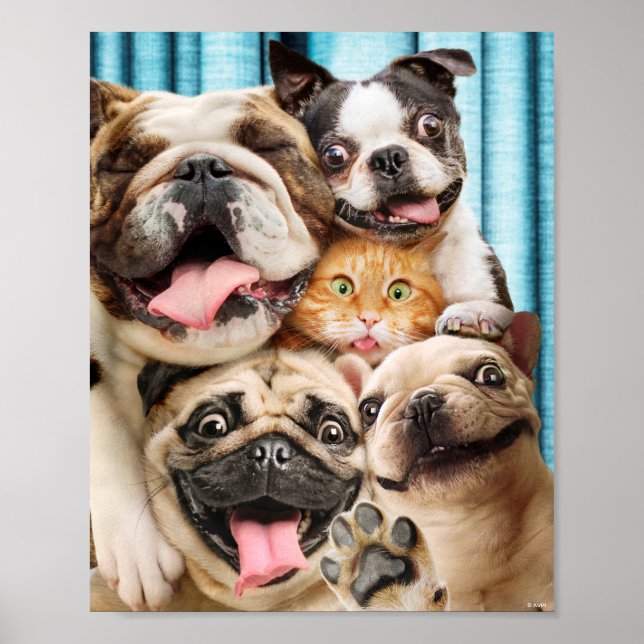 Dogs and a Cat Group Photo Poster (Front)