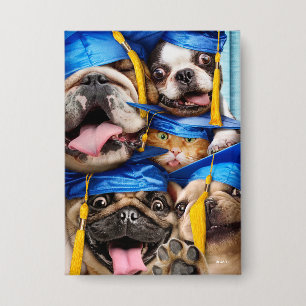 Dogs and Cat Grads in Photo Booth