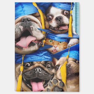 Dogs and Cat Grads in Photo Booth Magnet