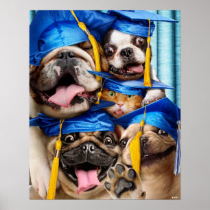 Dogs and Cat Grads in Photo Booth Poster