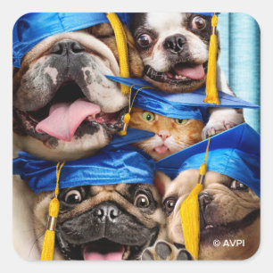 Dogs and Cat Grads in Photo Booth Square Sticker