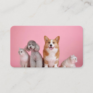 Dogs and cats business card