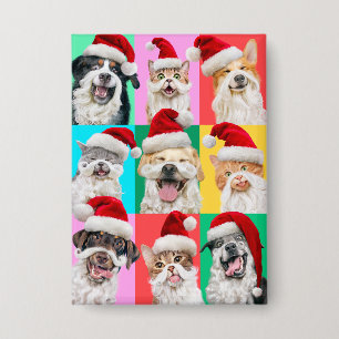 Dogs and Cats with Santa Beard