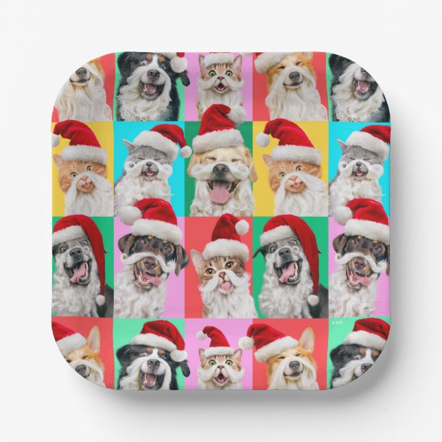 Dogs and Cats with Santa Beard Paper Plate (Front)
