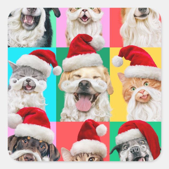 Dogs and Cats with Santa Beard Square Sticker (Front)