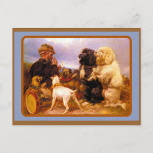 Dogs and Sailor Playing Card