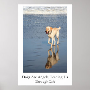 Dogs Are Angels Poster