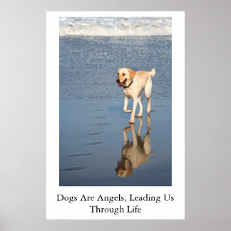 Dogs Are Angels Poster