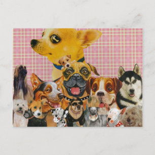Dogs are Fun Postcard