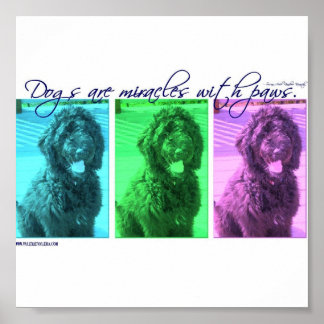 Dogs are Miracles with Paws Poster