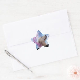 Dogs Are Whole Life Colourful Star Sticker