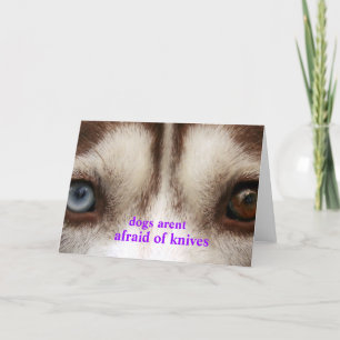 dogs arent afraid card