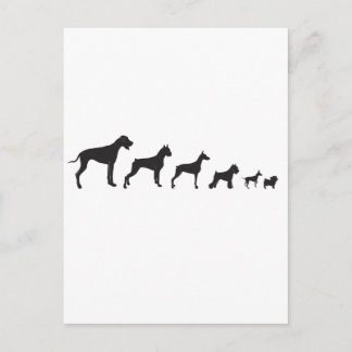 Dogs, both Big and Small Postcard