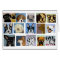 dogs by eric ginsburg
