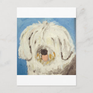 dogs by eric ginsburg postcard
