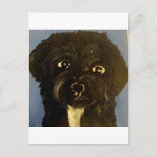 dogs by eric ginsburg postcard